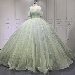 Customized 2024 Sage Green Princess Ball Gown Quinceanera Dress Sequins Beaded Birthday Party Sweet 15 Vestidos De 15 Anos