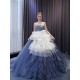 Glaucous Color Tulle Prom Dresses A Line Sleeveless Evening Dress Vintage Women Formal Party Wedding Gowns
