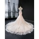 Lace Appliques Light Pink Evening Dresses Dubai Nude Mermaid Elegant Off Shoulder Arabia Formal Occasion Gowns 2024 For Women Party