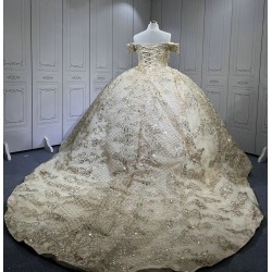 Mumuleo Champagne Quinceanera Dresses Vestidos De 15 De Xv Aos Quince 2025 Quinceaera Ball Gowns Vestidos Para 16 Aos